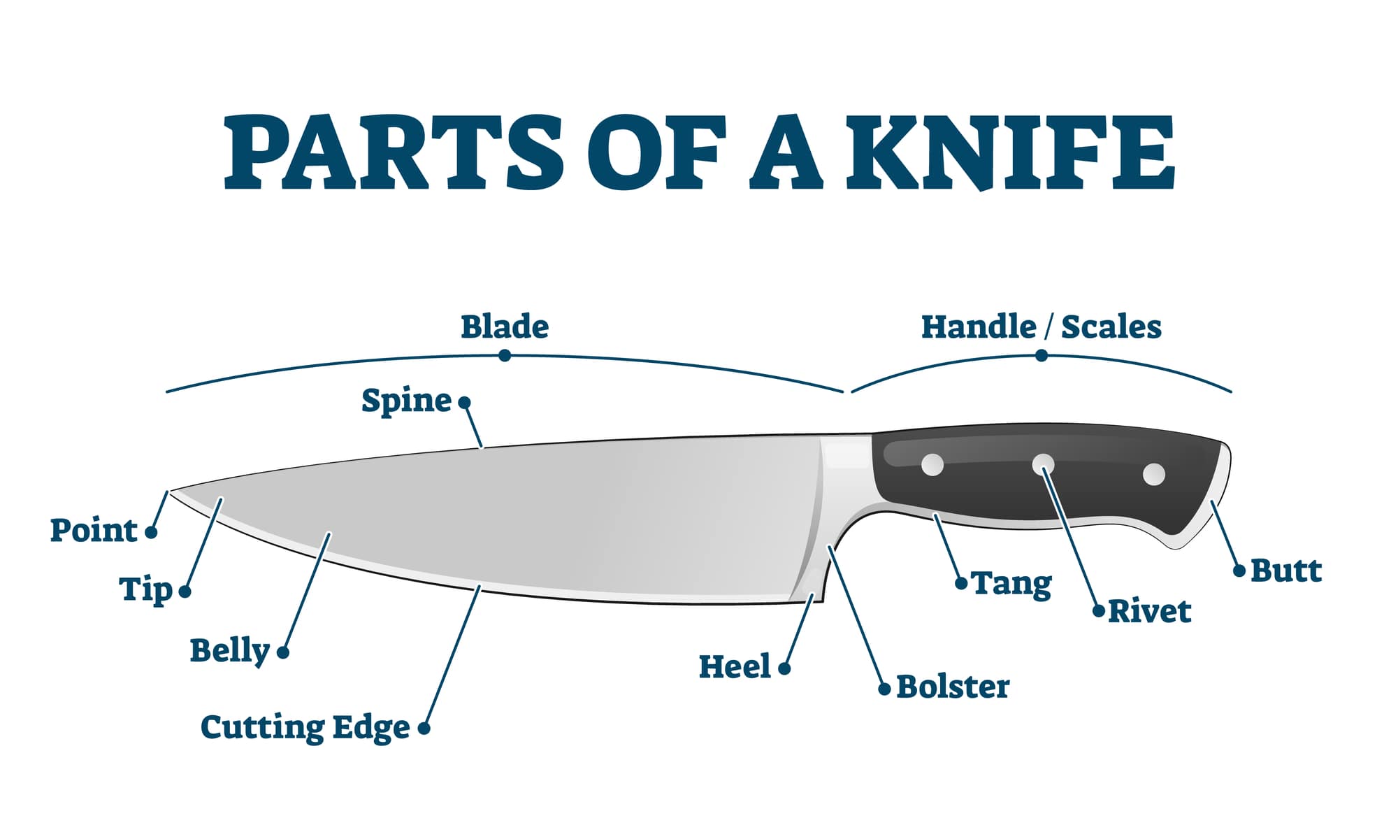 How To Choose The Best Chef Knives Buying Guide Knives Academy