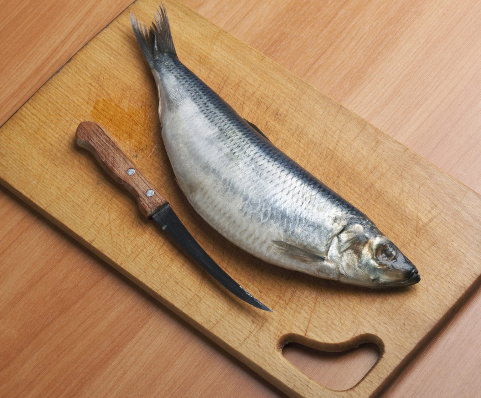 How to Choose a Fillet Knife in 2023 Buying Guide Knives Academy