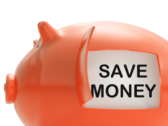 Save Money Piggy Bank Shows Putting Aside Fun